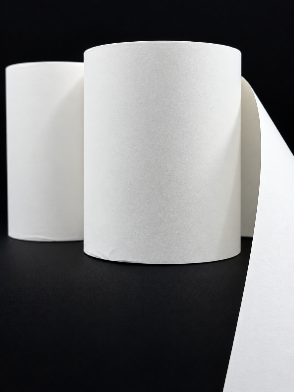 Thermal Paper Rolls 3 1/8" (79mm) x 230' Box of 50 Rolls